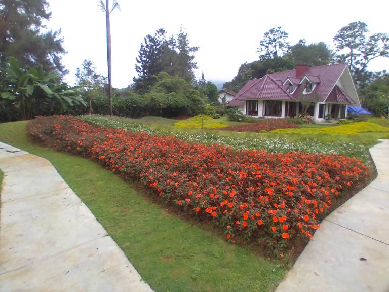 foto17