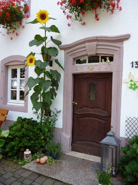 foto18