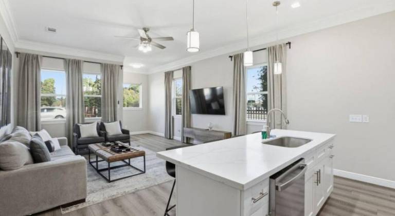 O30B Southwest Houston 2BR King Beds Pet Friendly Townhome — photo 2