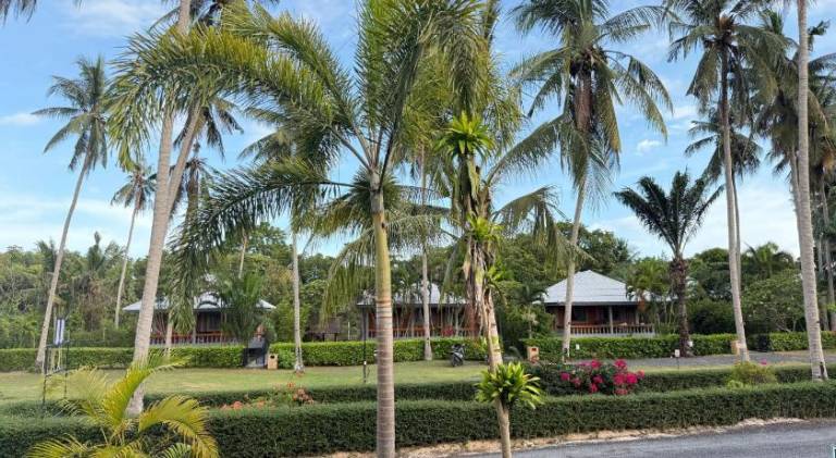 Villa with terrace, garden & BBQ in Ko Pha-ngan