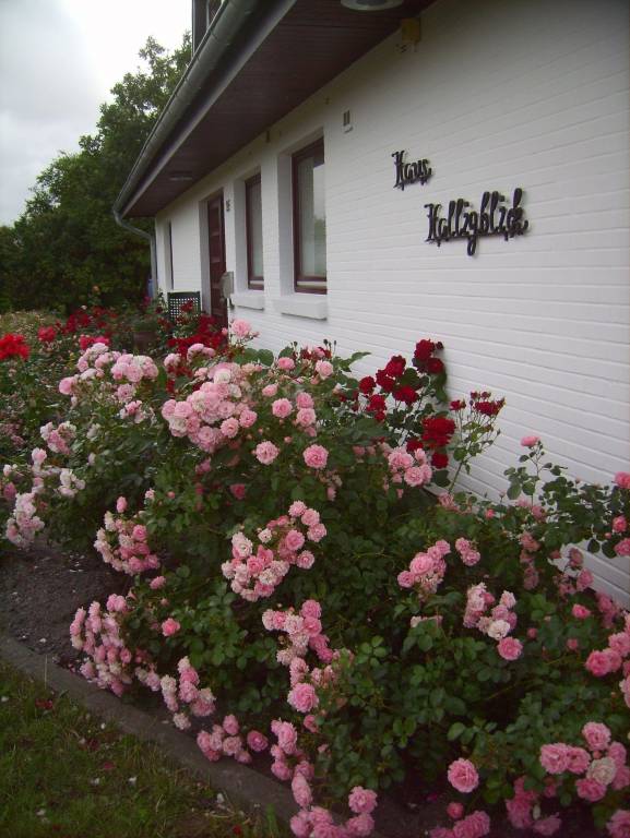 foto22