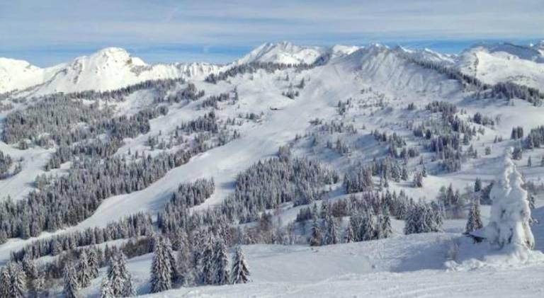 Wonderful holiday apartment | Next to the ski | Pet-friendly in Les Gets