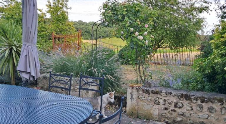 LES COTEAUX DE VIGNY — photo 4