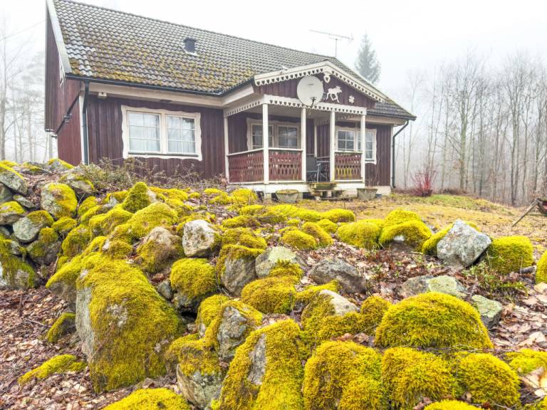 Ferienhaus Åsnen