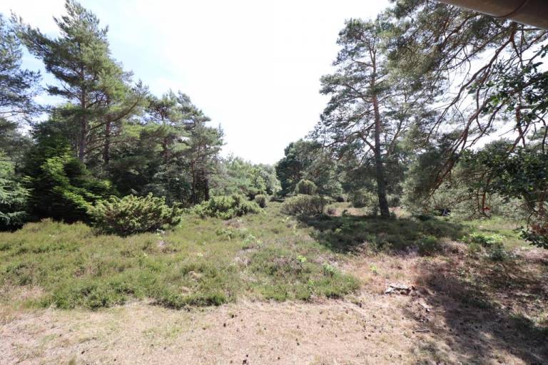 foto15