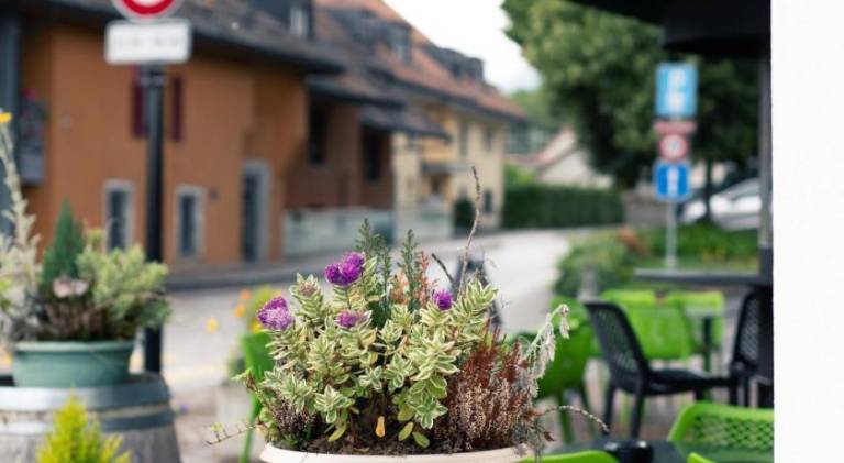 foto13