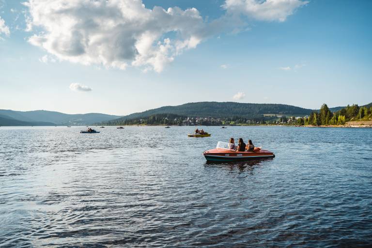 Ferienwohnung in Breisach am Rhein,  f&uuml;r max. 2 Personen