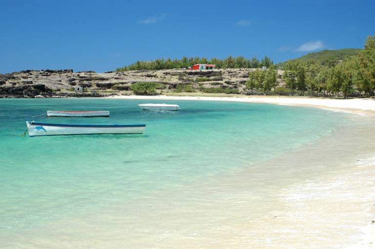 Logement  Rodrigues