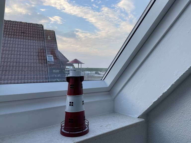 foto29