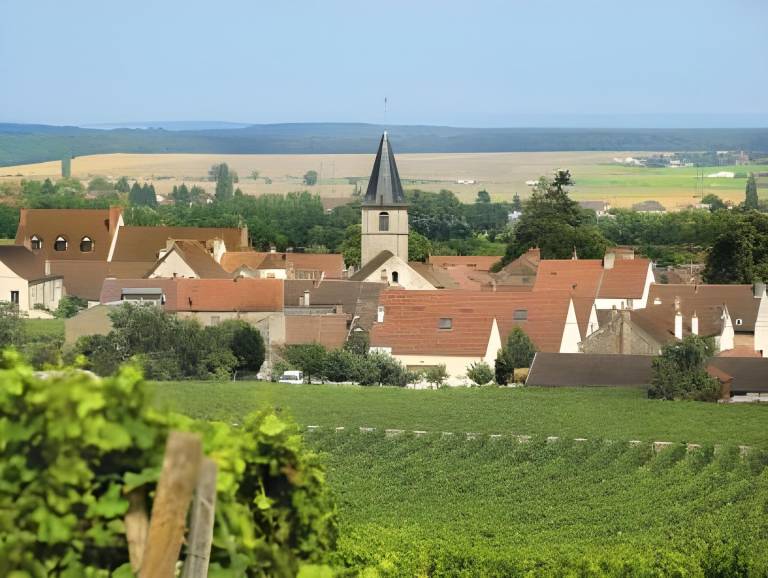 Le Richebourg Hotel, Restaurant & Spa in Dijon