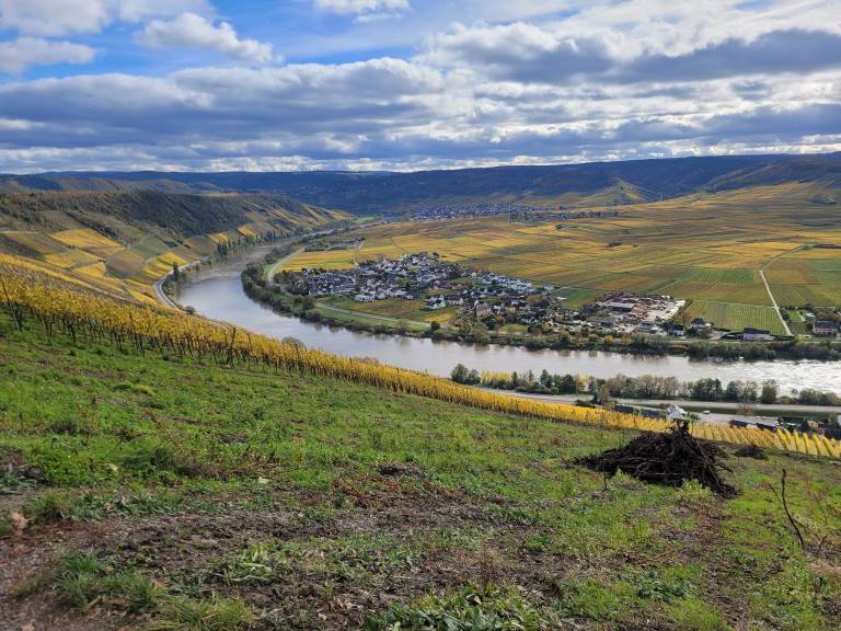 Ferienhaus  Schweich