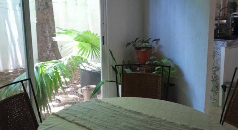Casa Mariposas — photo 3