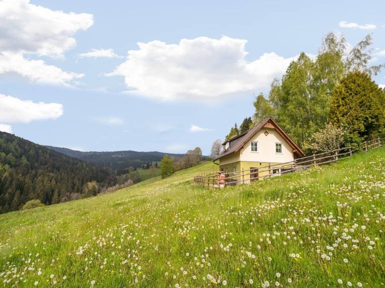 Ferienhaus  Sankt Andrä