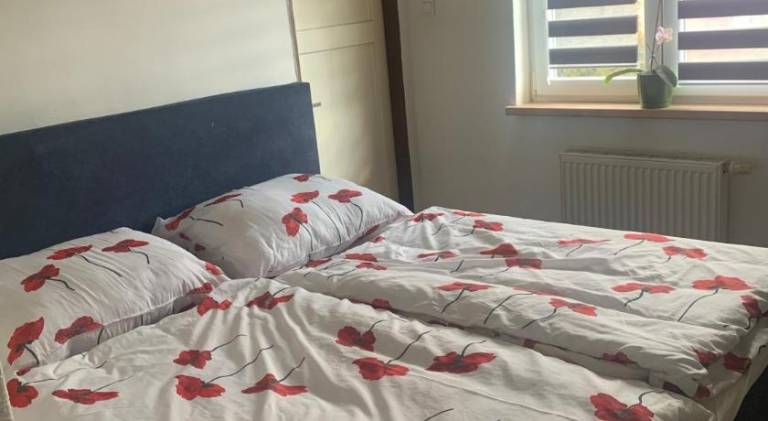 Holiday apartment with 2 rooms for 6 persons — photo 5