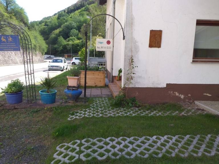 foto8