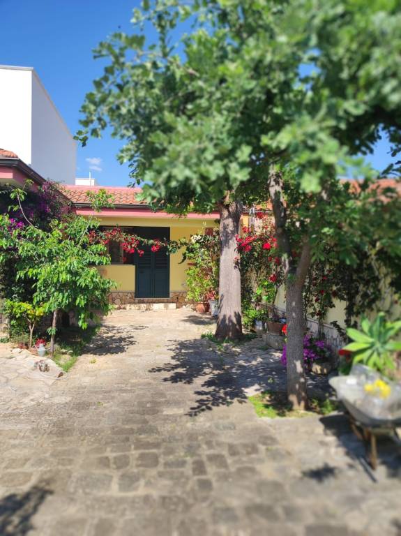 Vacation home with terrace, BBQ & yard | Beach nearby | Pet-friendly — photo 2