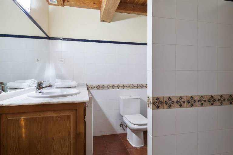 Apartment  Baquèira