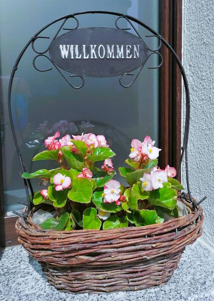foto47