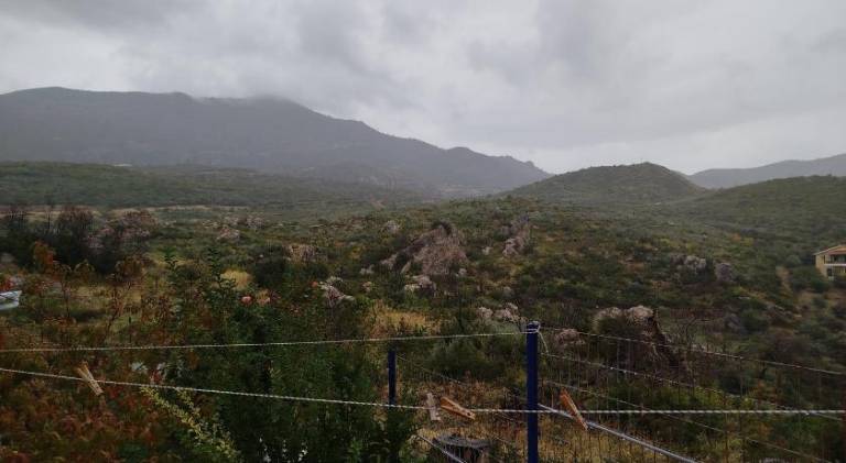 foto45