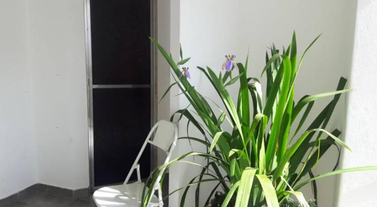 foto6