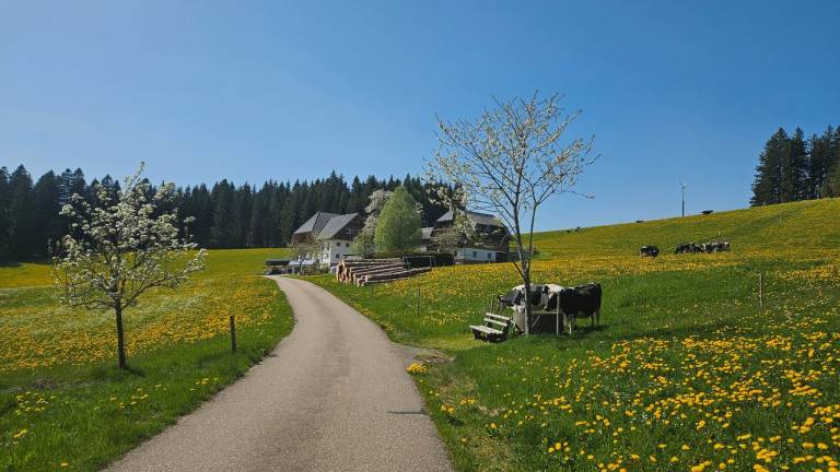 Ferienwohnung in Titisee-Neustadt für max. 2 Gäste