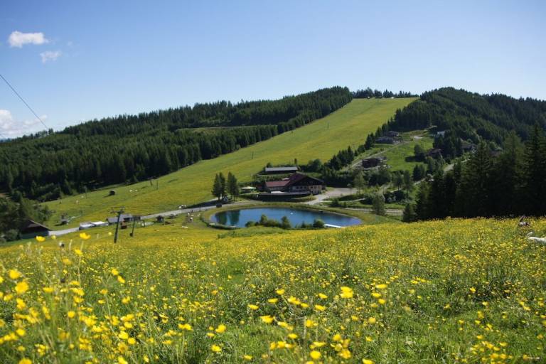 foto19