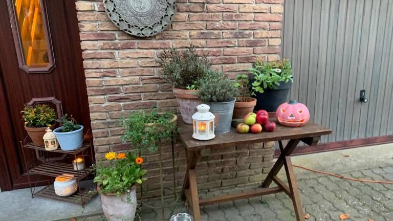 foto25