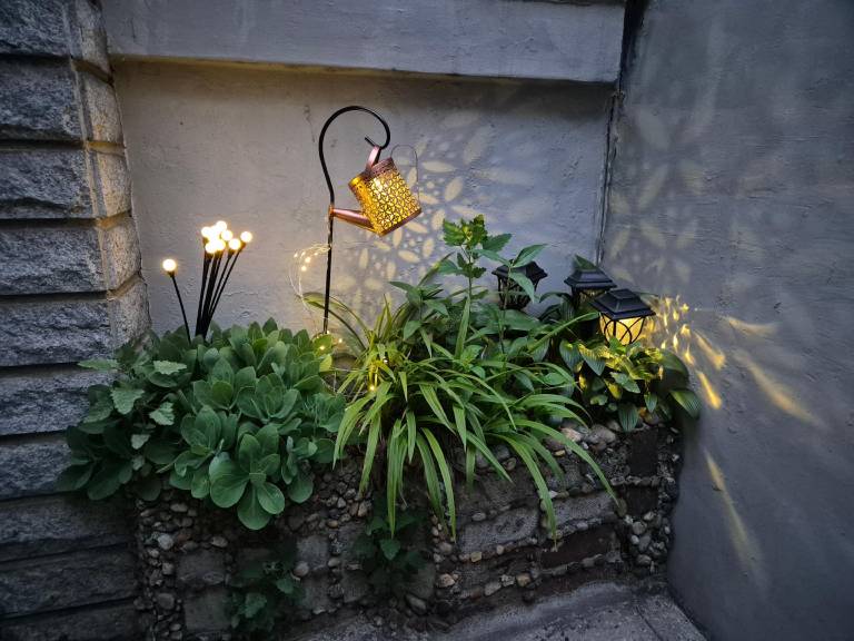 foto26