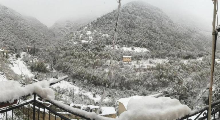 foto5