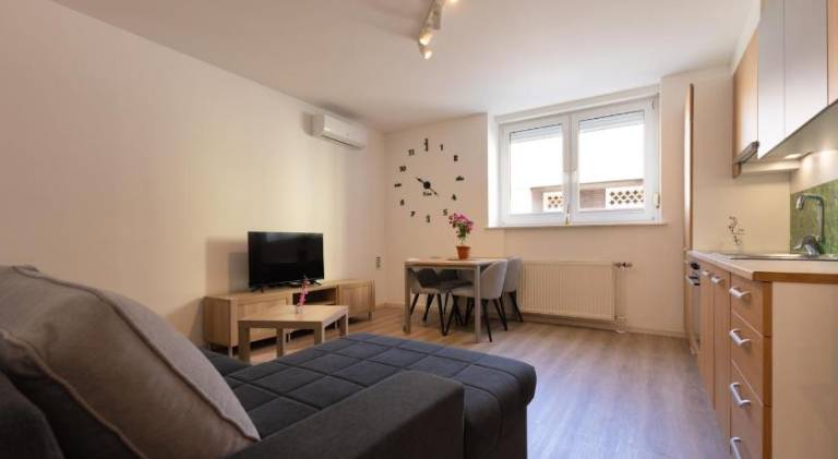 Apartma Senicica — photo 2