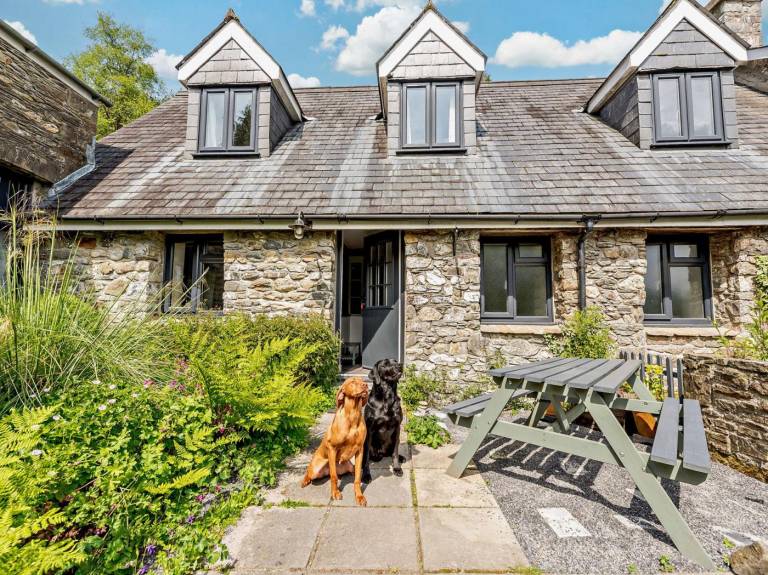 Cottage with yard | Pets allowed in Carmarthen