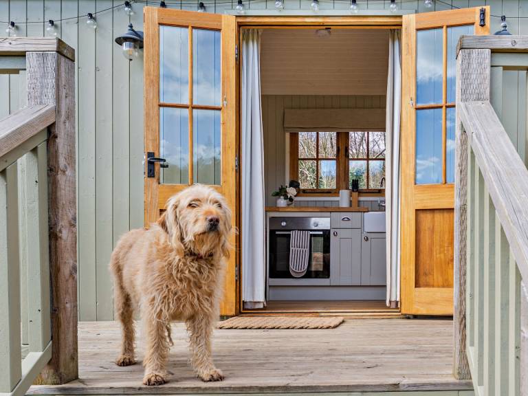 Cottage Chirk