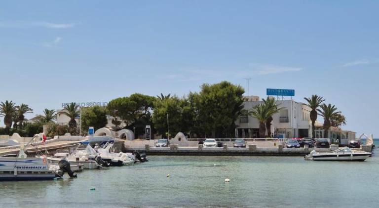 Fully equipped rental apartment with barbecue & terrace | Next to the beach | Pet-friendly — photo 5
