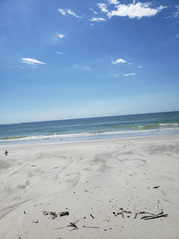 Condo Indian Shores