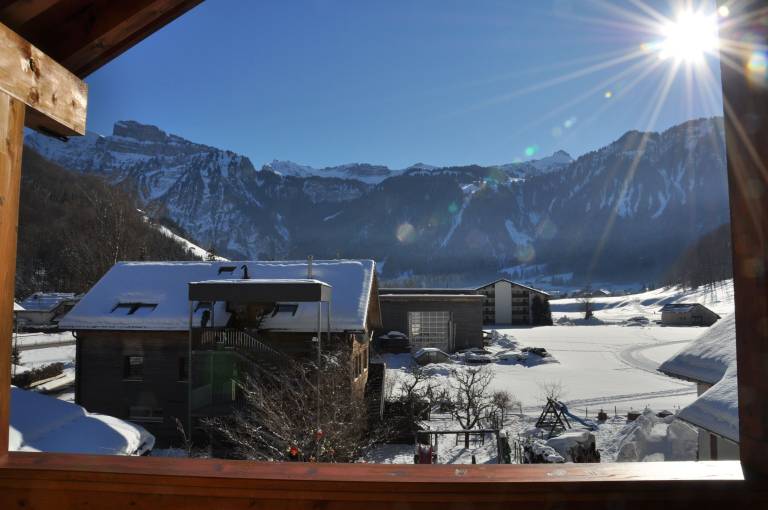 Ferienwohnung Reuthe