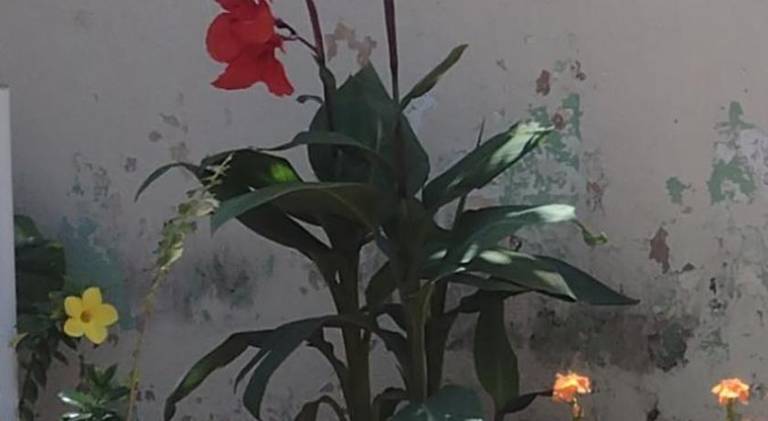 foto44
