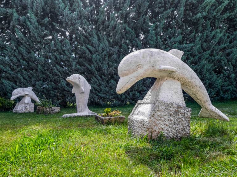 foto21