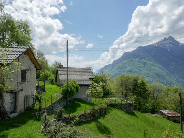 foto19