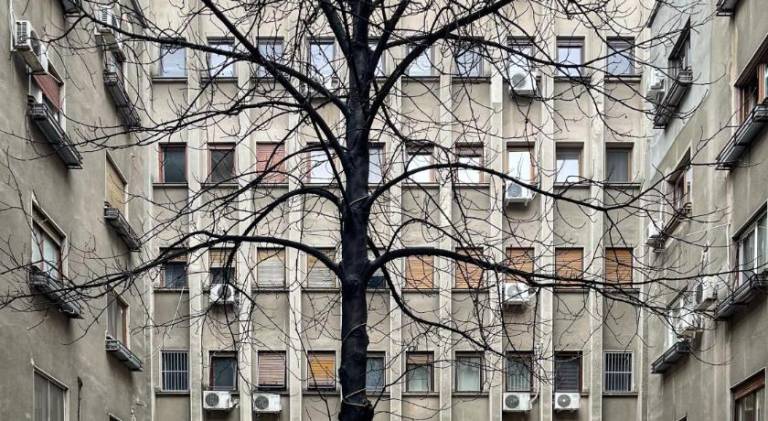 Lovely rental apartment | Near Romanian Athenaeum | Pets allowed — photo 5