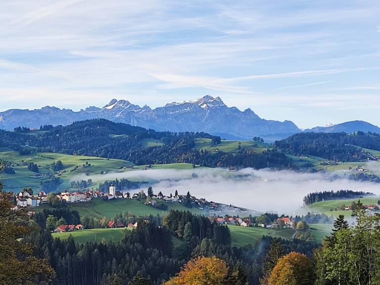 foto12
