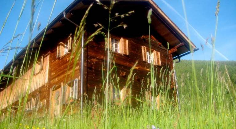 Lovely chalet | Pets are welcome in Heiligenblut