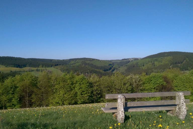 foto16