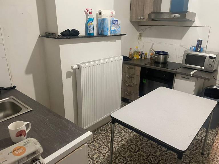 Wonderful holiday apartment | Pets are welcome — photo 3
