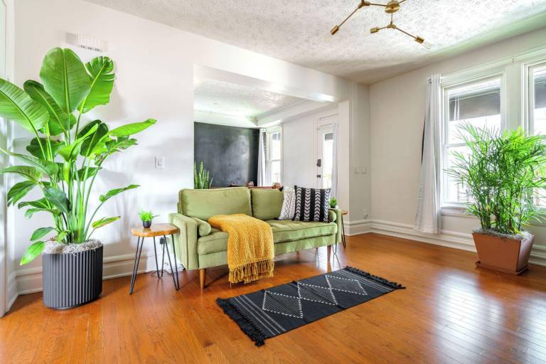 Jungle House Boutique Suites – Short North & Convention Center — photo 3