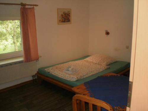 foto7