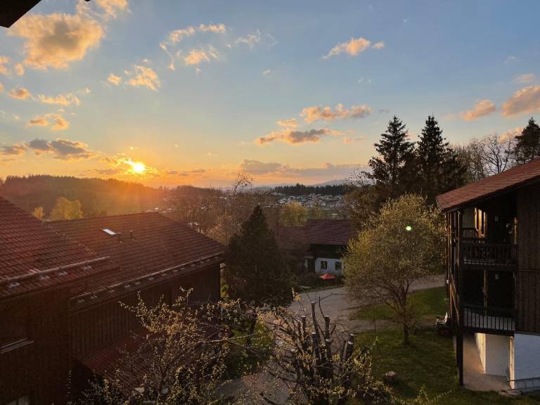 foto17