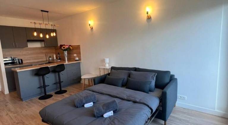 Luxury Suite Victor Hugo - Champs-Elysee in Puteaux