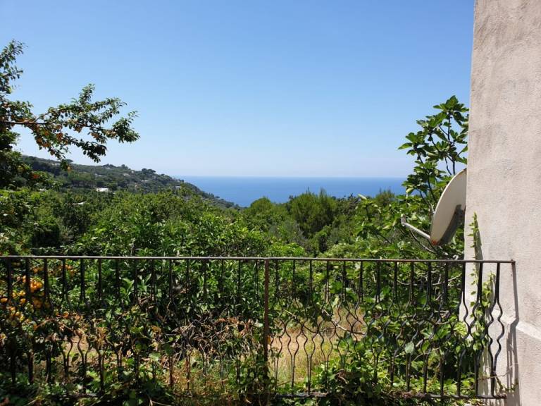 Villa  Capri