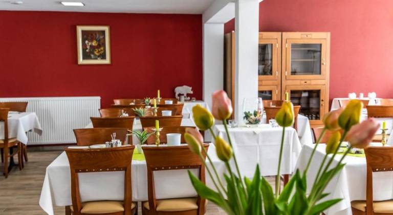 Hotel JAGERHAUS in Singen am Hohentwiel — photo 4