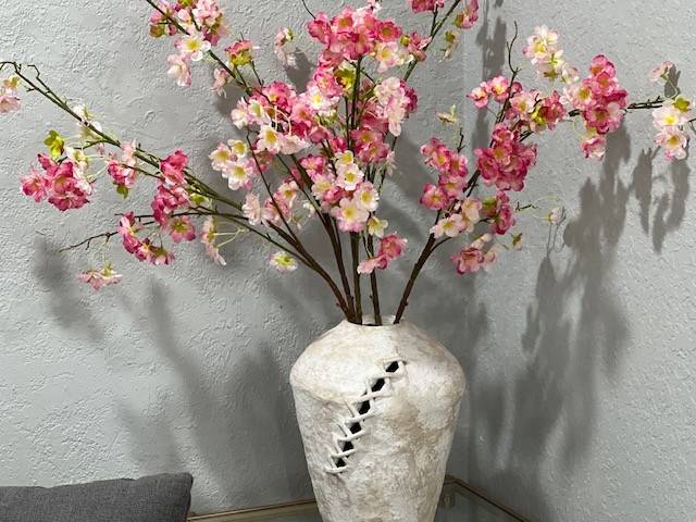 foto26